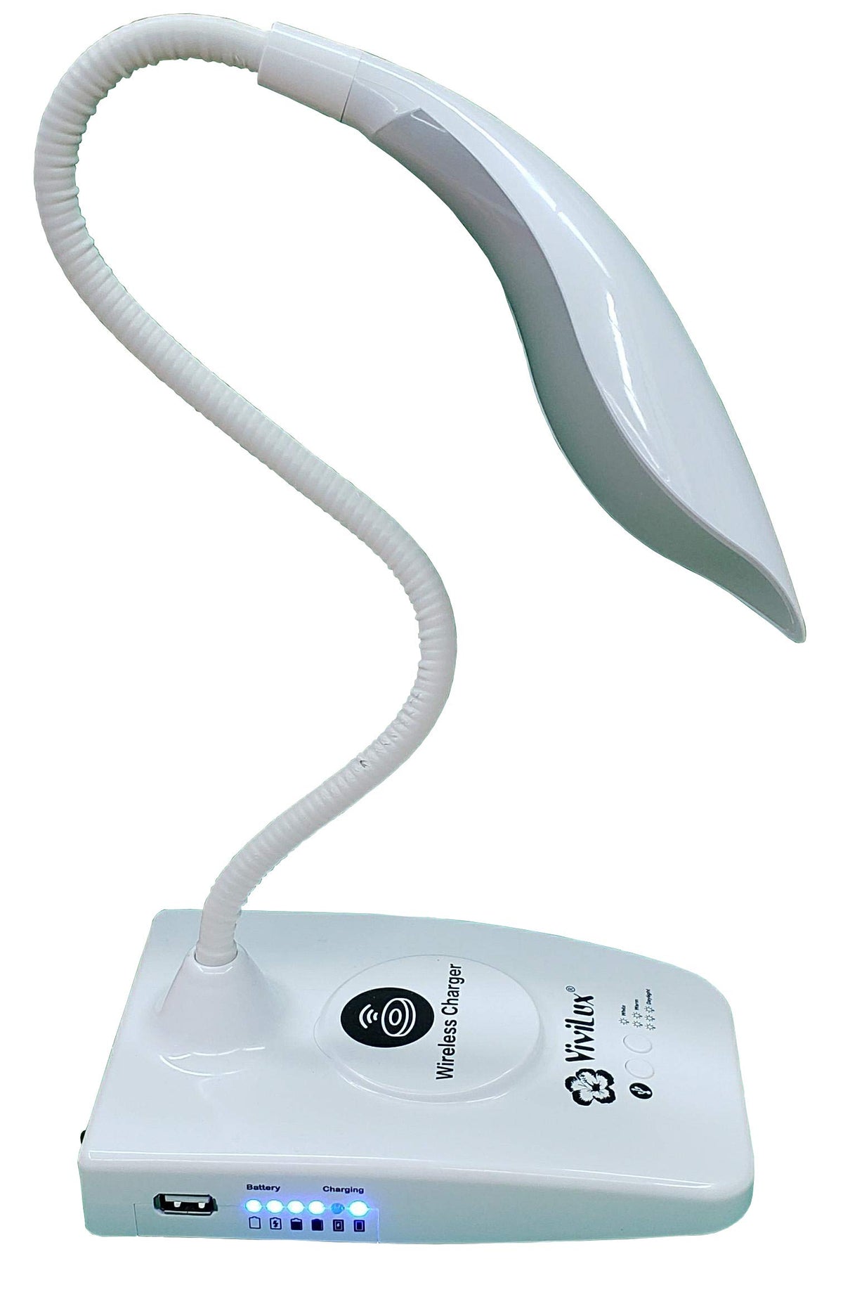 Lights/Magnifiers