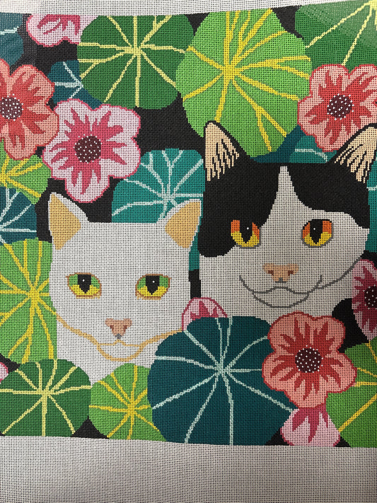 Cats