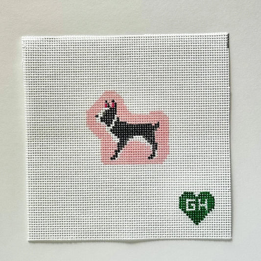 Boston Terrier Mini