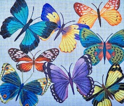 Butterfly Heaven