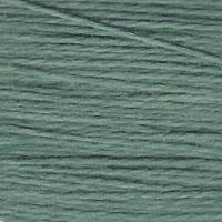 Essentials  -  Kelp  -  687