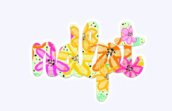 NDLPT Orange and Yellow Sticker  - Small