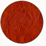 Soie Tissee-Jack'O-T-0920