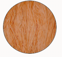 Soie Tissee-Georgia Peach -T-1319