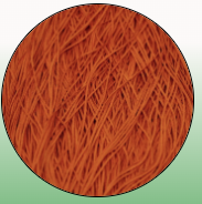 Soie Tissee-Saffron-T-1320