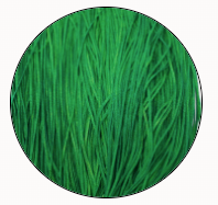 Soie Tissee-Christmas Grn-T-0452