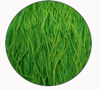 Soie Tissee-Irish Eyes-T-0450