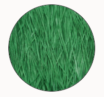 Soie Tissee-Seabeans-T-0428