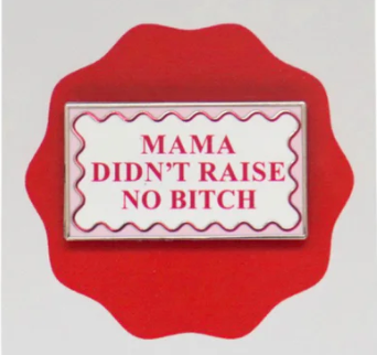 Metallic sign with text 'MAMA DIDN'T RAISE NO BITCH' on a red border against a light gray background