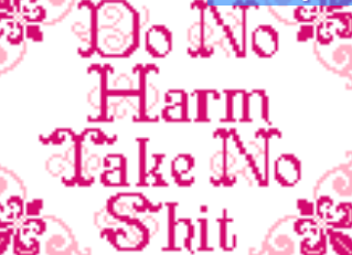 Do No Harm Take No Shit needlepoint canvas with pink floral border