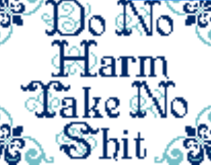 Do No Harm Take No Shit needlepoint canvas with blue border