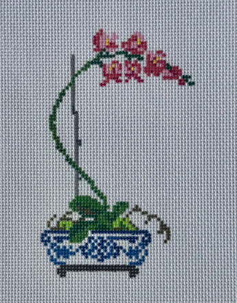 Potted orchid with pink flowers and blue patterned pot