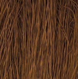 Straw Silk -Maple Snap -0941